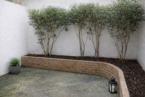 Photo 21- click for photo gallery